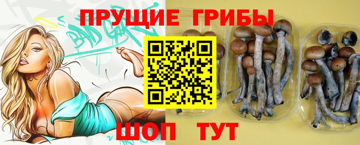 Псилоцибиновые грибы прущие грибы Кировск
