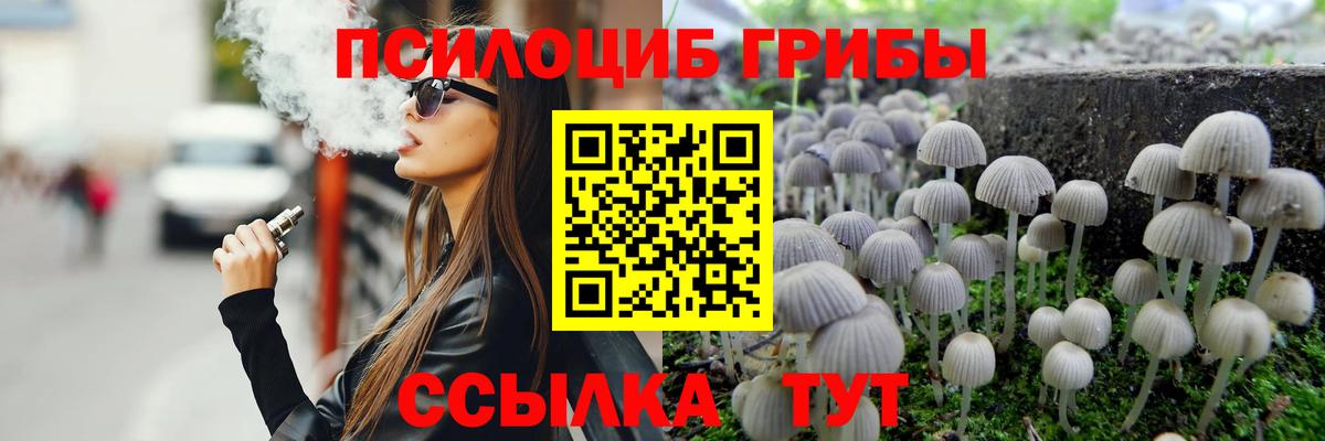 Кировск  Псилоцибиновые грибы GOLDEN TEACHER  Галлюциногенные грибы GOLDEN TEACHER  Вход с VPN 